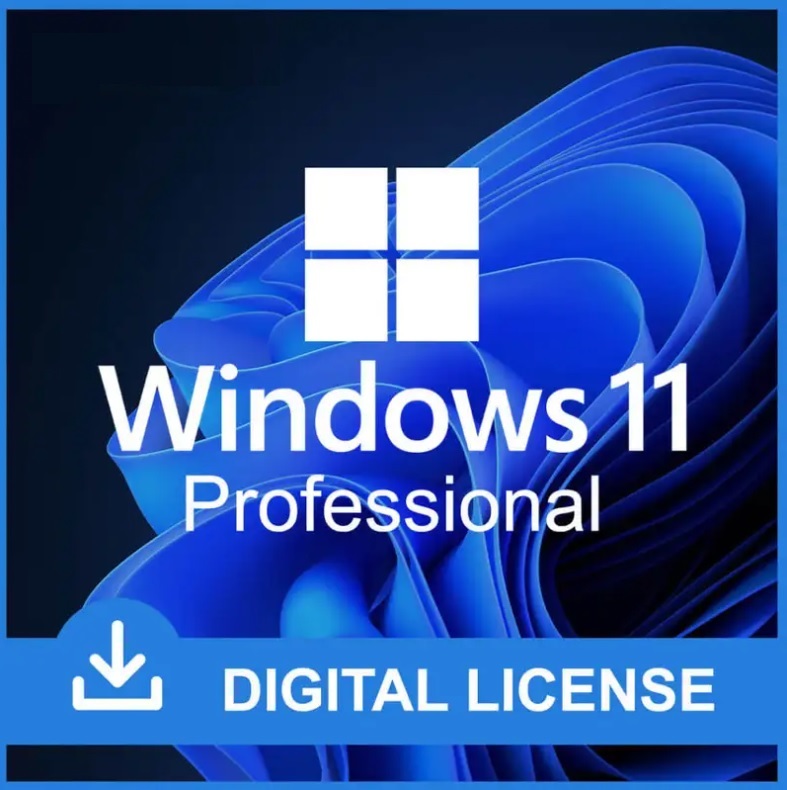 Windows 11 Pro